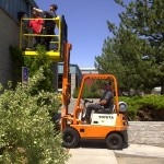 Regulatory Compliance Programs